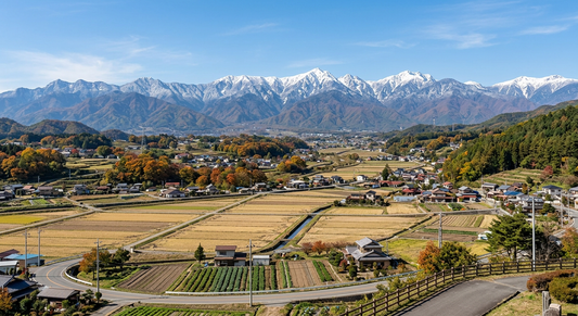 山梨・中巨摩郡の秋行事